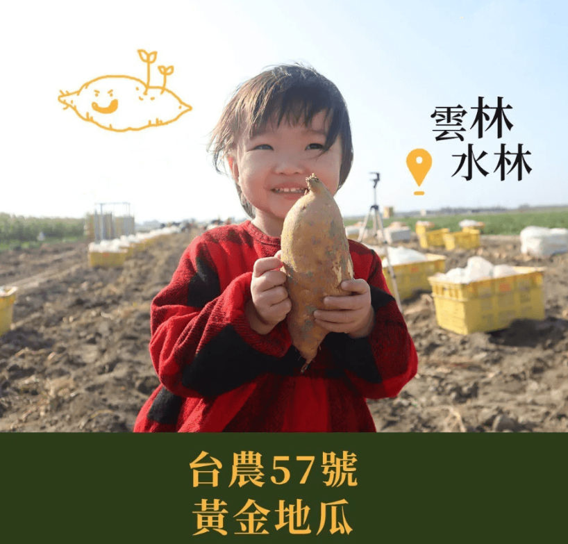 DM_20241202164726_007