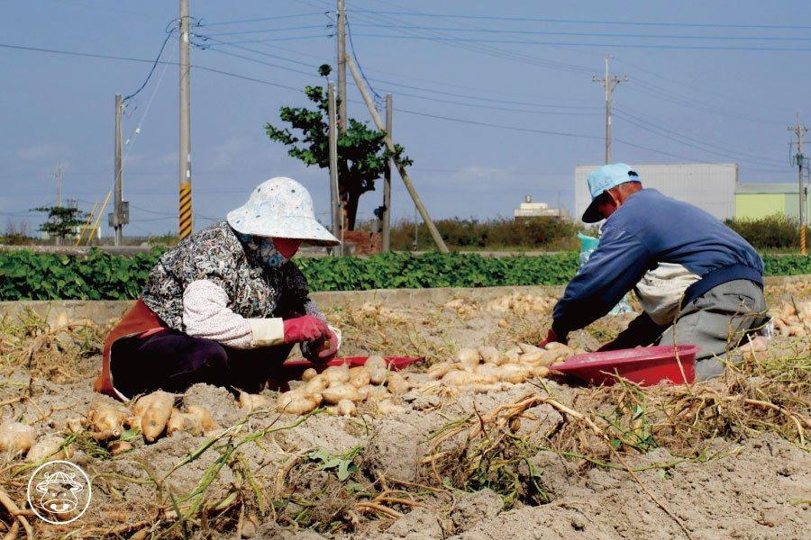 DM_20241202164726_010