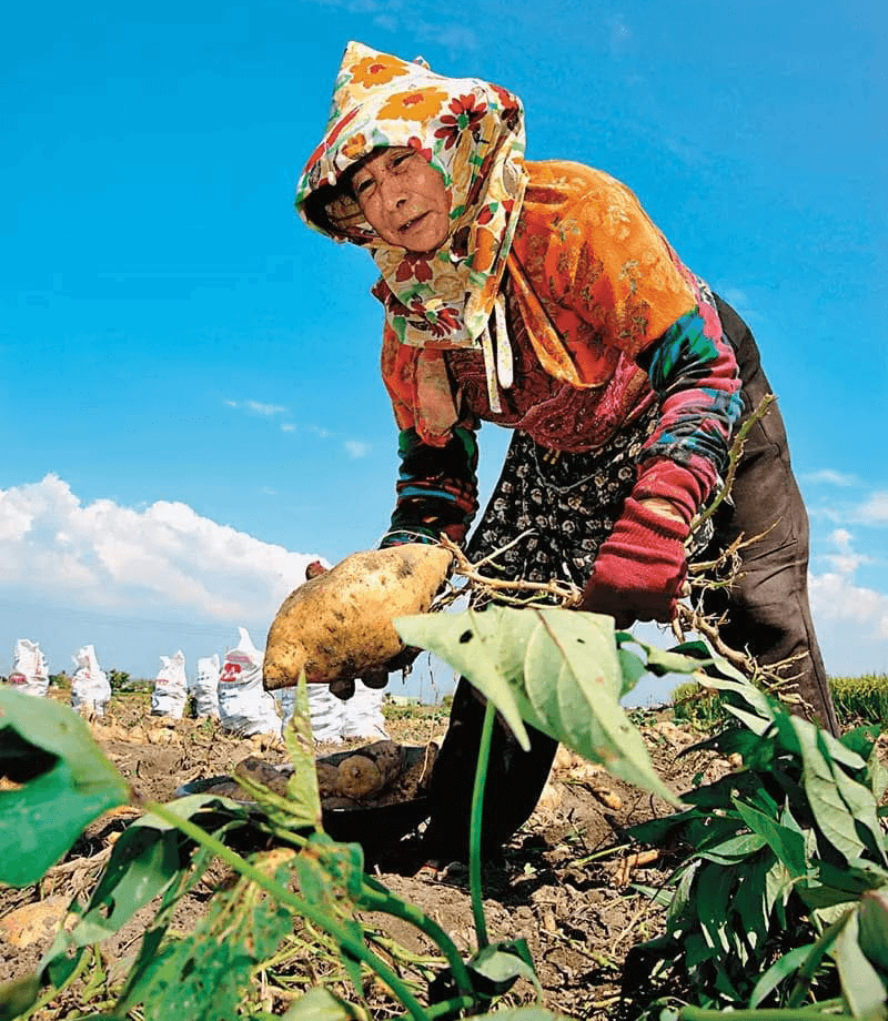 DM_20241202164726_011