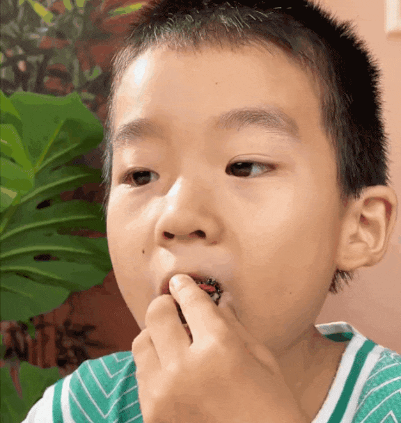 DM_20241205160548_013