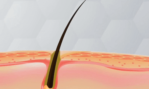 DM_20241205160548_019