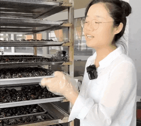 DM_20241205160549_029