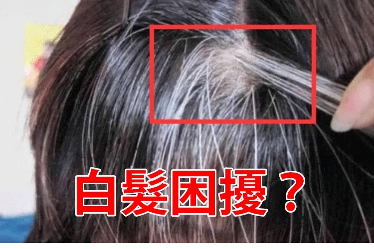 DM_20241205165918_002