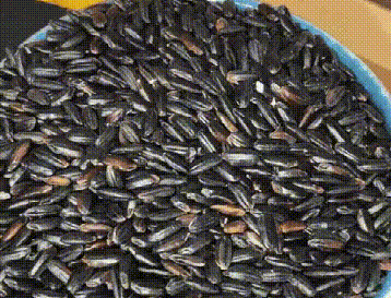 DM_20241205165918_010