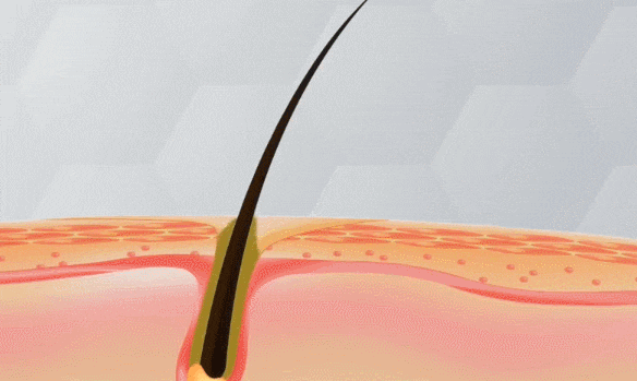 DM_20241205165918_014