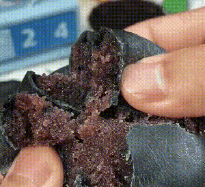 DM_20241205165919_025