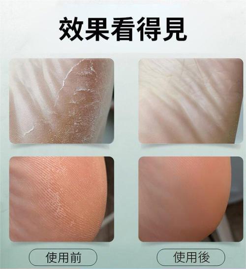 DM_20250211174825_007