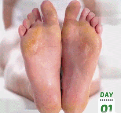 DM_20250211174825_014