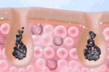 DM_20250218140434_014