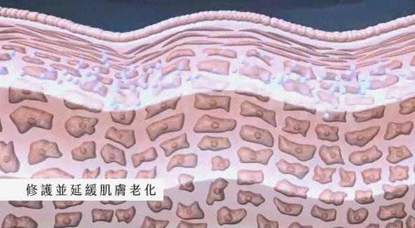 DM_20250218140434_016